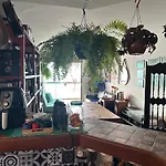 Apartamento Frente-Mar No Rio De Janeiro